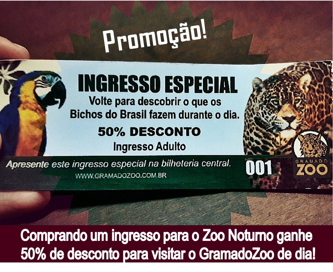 Desconto Zoo Noturno GramadoZoo