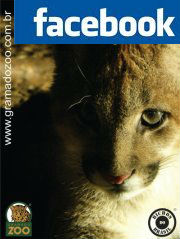 Puminha no Facebook