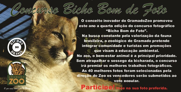 bicho bom de foto 4