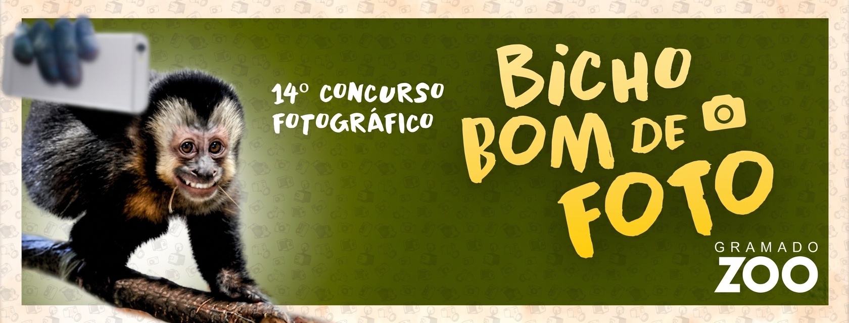 14BBF1