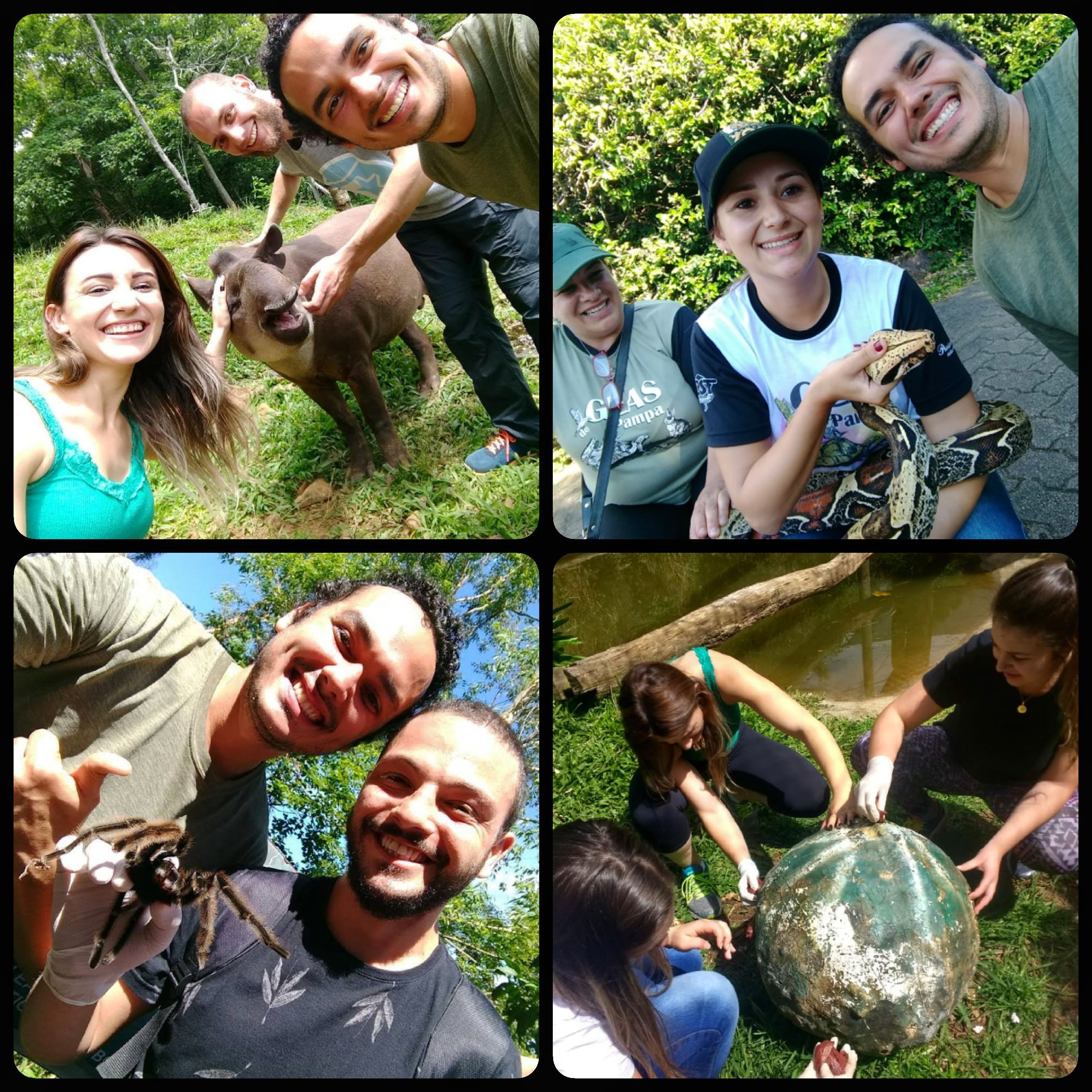 Visita Tecnica GramadoZoo